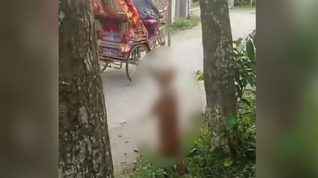 ছাগলকে কামড় দেওয়ার ঘটনায় কুকুরকে গাছে ঝুলিয়ে হত্যা, ভিডিও ছড়িয়ে ক্ষোভ